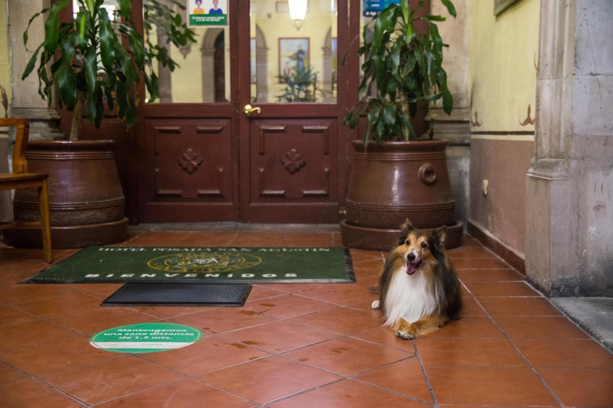 Hotel Posada San Agustin Durango Eksteriør billede