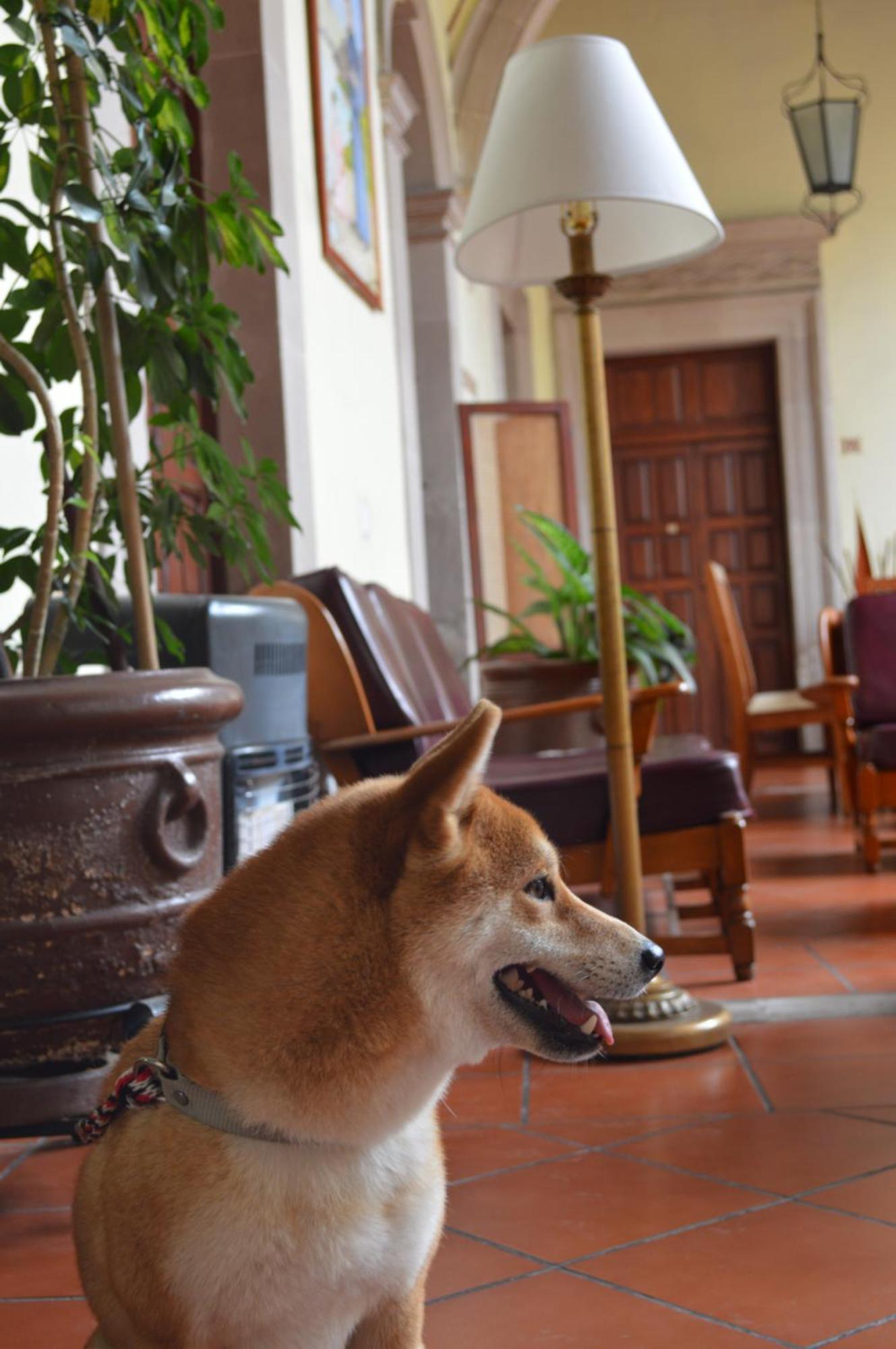 Hotel Posada San Agustin Durango Eksteriør billede