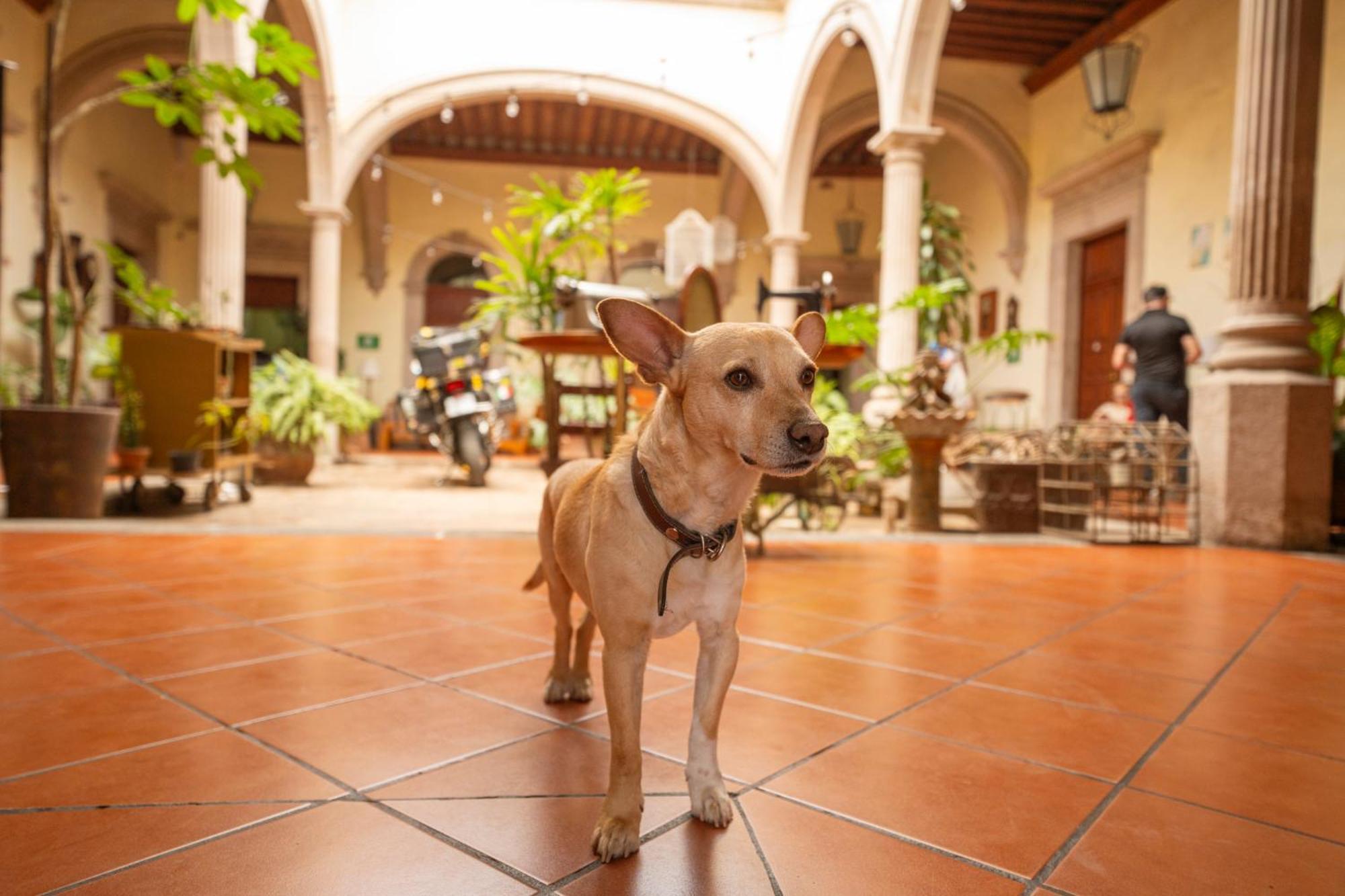 Hotel Posada San Agustin Durango Eksteriør billede